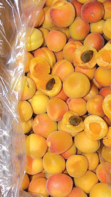 Modified Atmosphere Packaging (MAP) Solutions for Apricot