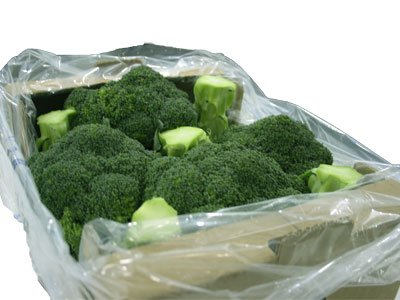 Broccoli Fresh Product Packaging