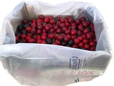 Cherries Fresh Product Packaging