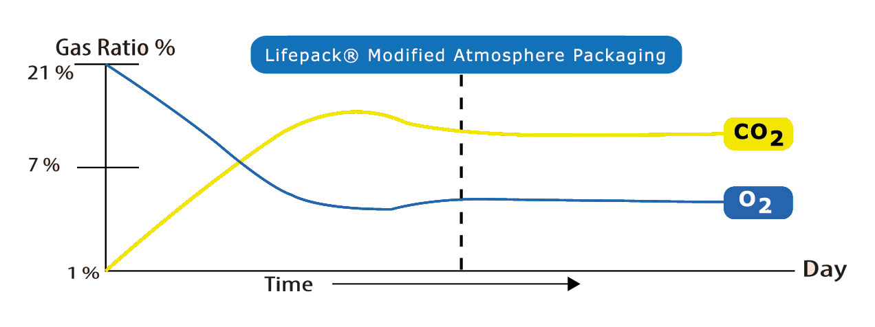 Elevation in the CO2 level along the decreased O2