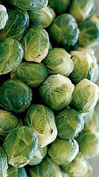 Brussels Sprouts Fresh Product Packaging