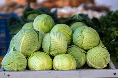 Cabbage Fresh Product Packaging
