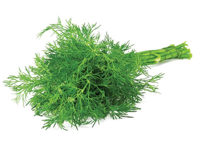 Dill Fresh Product Packaging