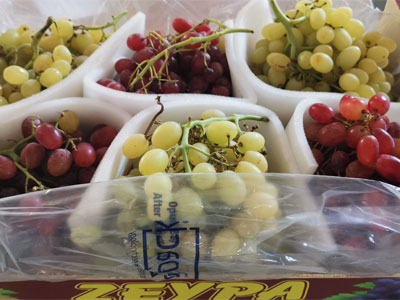 Grapes Fresh Product Packaging