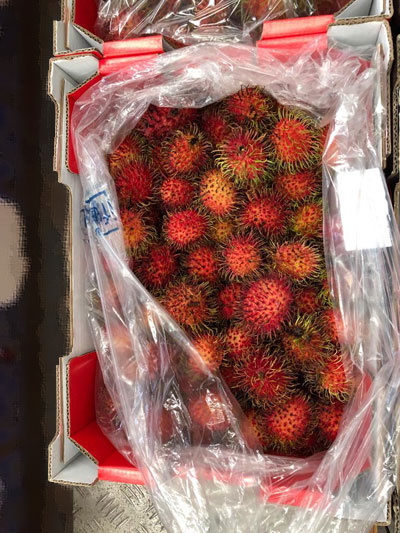 Lychee Fresh Product Packaging