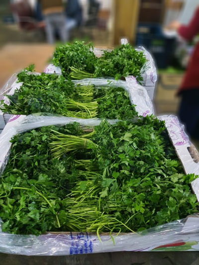 Parsley Fresh Product Packaging