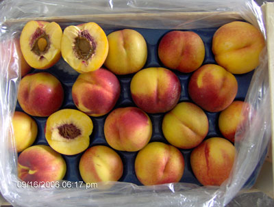 Peaches Fresh Product Packaging