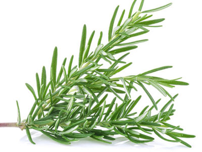 Rosemary Fresh Product Packaging